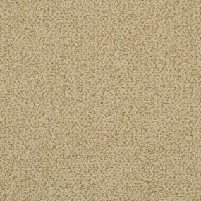 Pattern Jungle Palm Beige/Tan Carpet