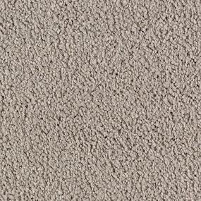 Textured Saxony Cafe Noir Gray Carpet