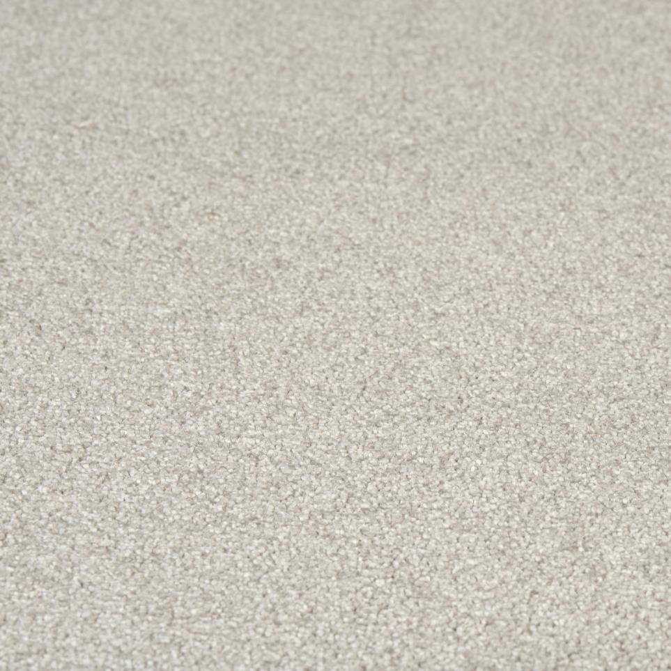 Textured Saxony Breezy Gray Carpet