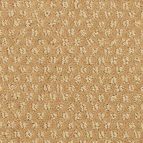 Pattern Chateau Beige/Tan Carpet