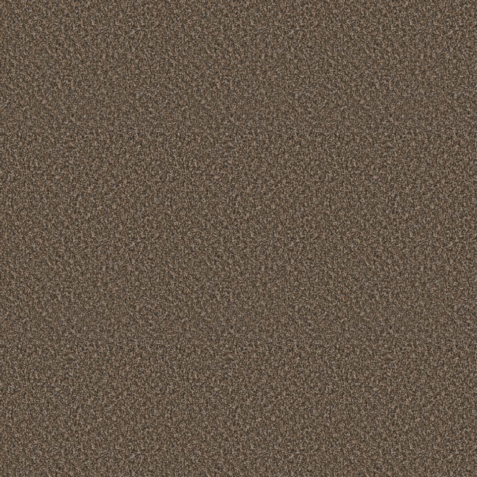 Texture Kingspoint Brown Carpet
