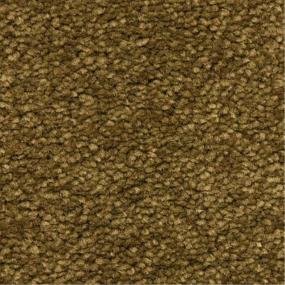 Casual Texture Bisonte Brown Carpet