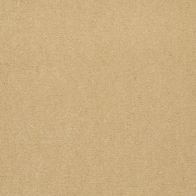 Cut Pile Vanilla Beige/Tan Carpet