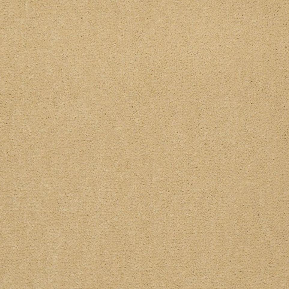 Cut Pile Vanilla Beige/Tan Carpet