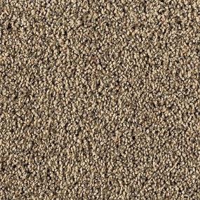 Textured Saxony Angel Brown Carpet