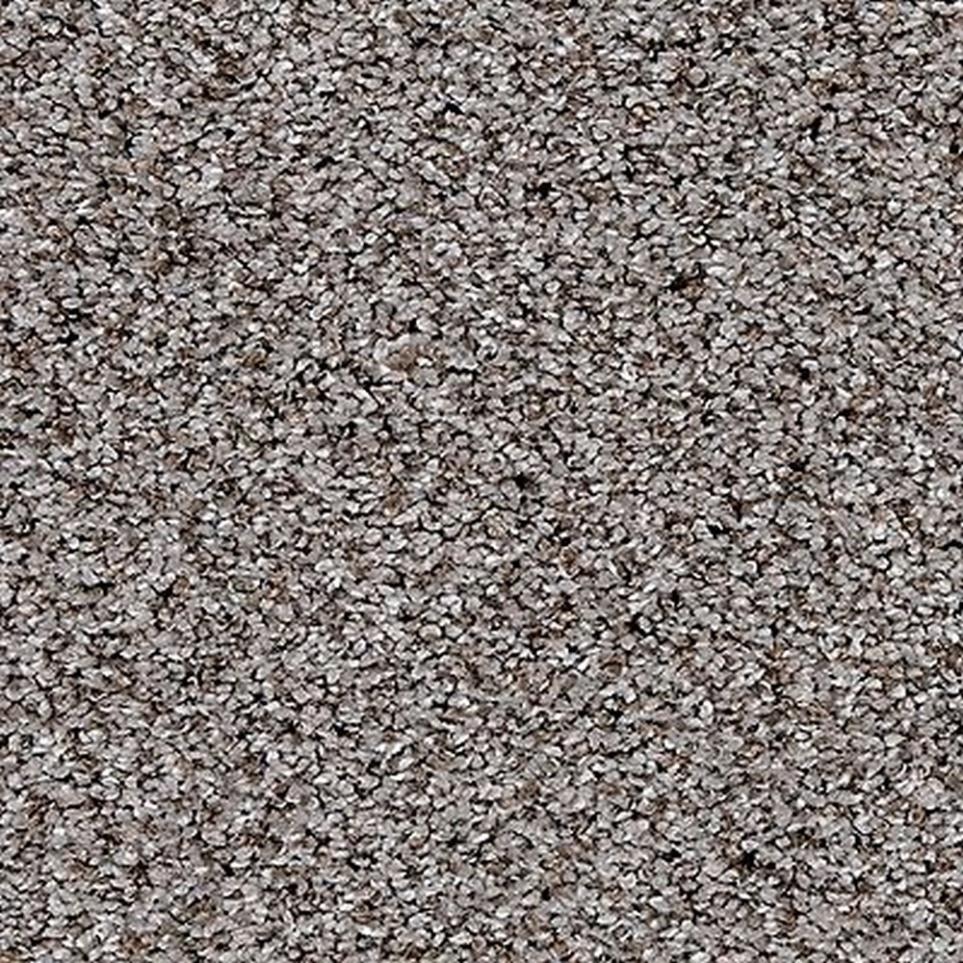 Pattern Pebble Beach Gray Carpet