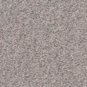 Casual Texture Lookout Point Gray Carpet