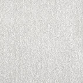 Plush Snow Gray Carpet