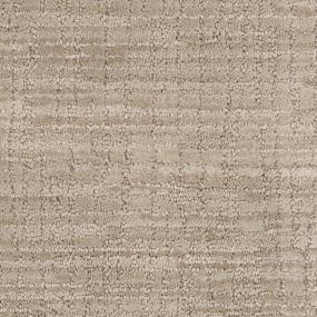 Pattern Pathway Brown Carpet