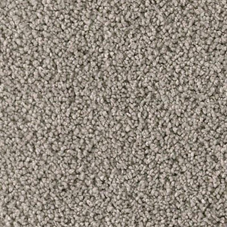 Textured Saxony Dragonfly Gray Carpet