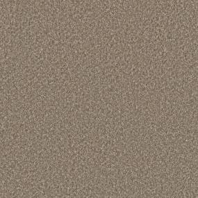 Textured Saxony Mission Hills Brown Carpet