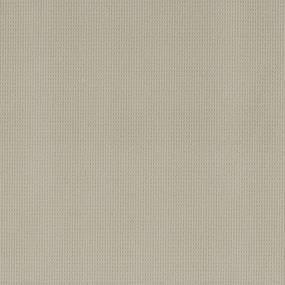 Loop Dunes Beige/Tan Carpet