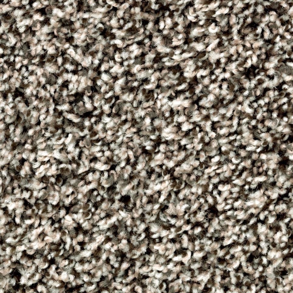 Textured Saxony Camellia Beige/Tan Carpet