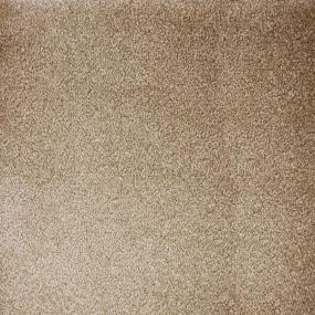 Plush Saxony Sandstone Beige/Tan Carpet