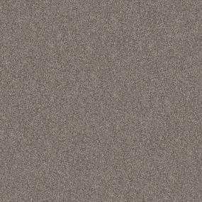 Casual Texture Etched Silver Beige/Tan Carpet