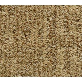 Pattern Driftwood Brown Carpet