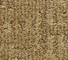 Pattern Driftwood Brown Carpet