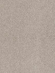 Texture Natural Beige/Tan Carpet