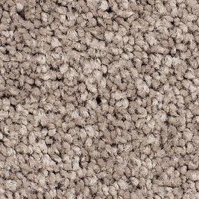 Textured Saxony Prairie Dusk Brown Carpet
