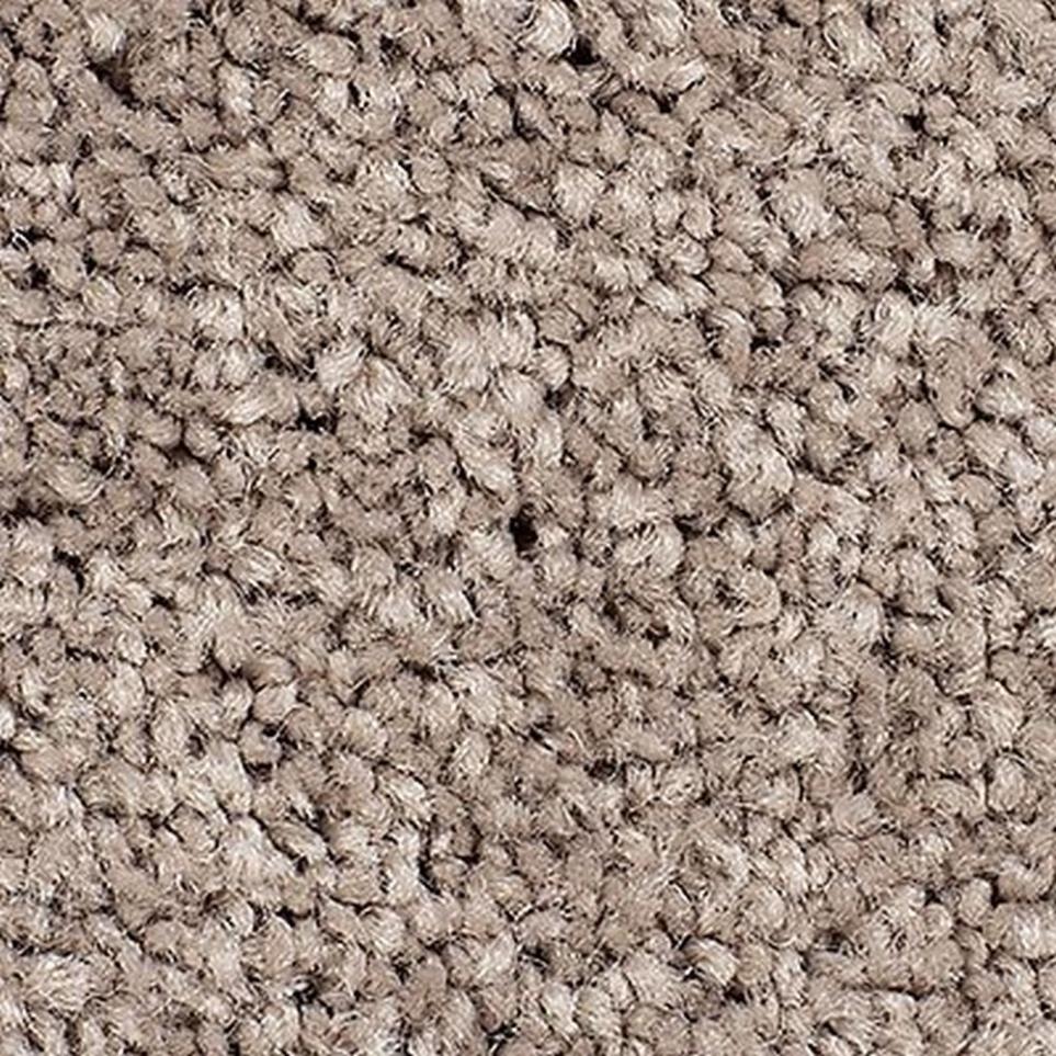 Textured Saxony Prairie Dusk Brown Carpet