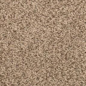 Textured Saxony Dark Vanilla Brown Carpet