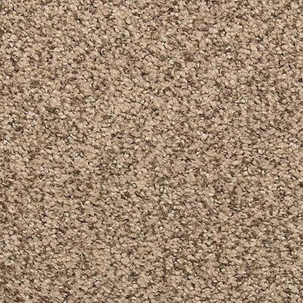 Textured Saxony Dark Vanilla Brown Carpet