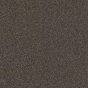 Casual Texture Lodge Brown Carpet