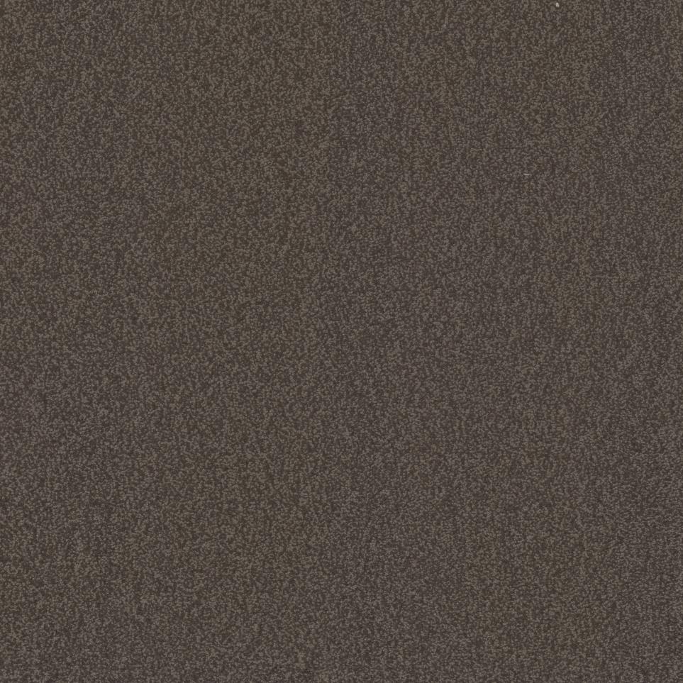 Casual Texture Lodge Brown Carpet