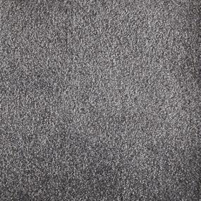 Plush Charcoal Gray Carpet