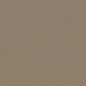 Textured Saxony New Honey Beige/Tan Carpet