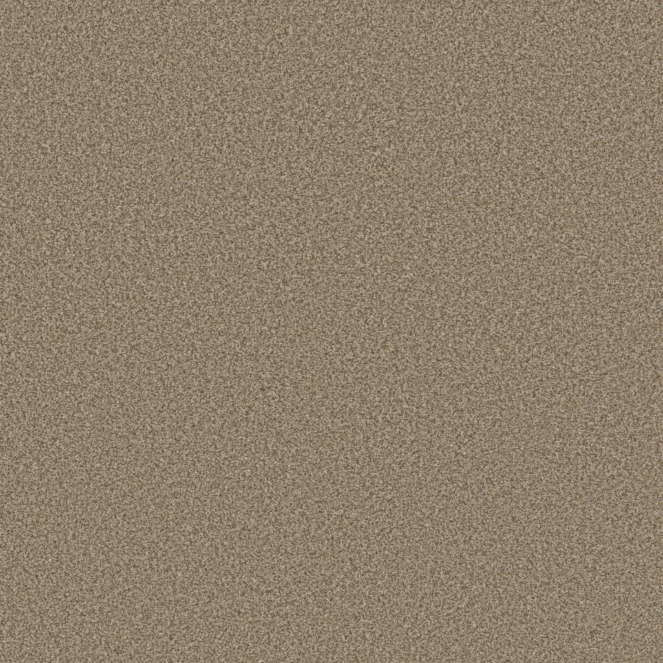 Texture New Honey Beige/Tan Carpet