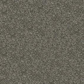 Plush Authentic Gray Carpet