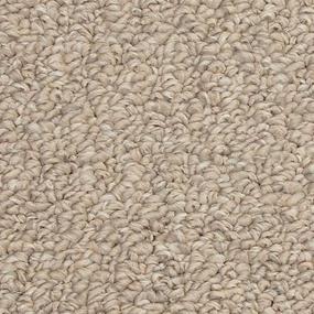 Pattern Silver Beige/Tan Carpet