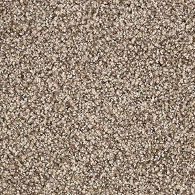 Textured Saxony London Fog Gray Carpet