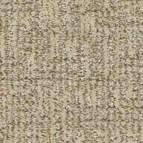 Pattern Desert Sand Beige/Tan Carpet