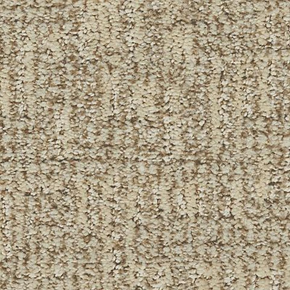 Pattern Desert Sand Beige/Tan Carpet