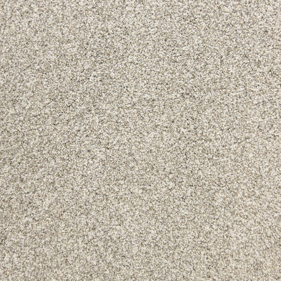 Texture Titanium Beige/Tan Carpet
