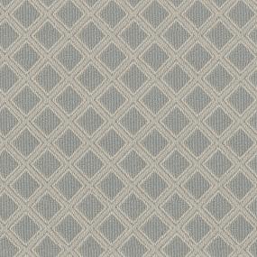 Loop Coastal Gray Carpet