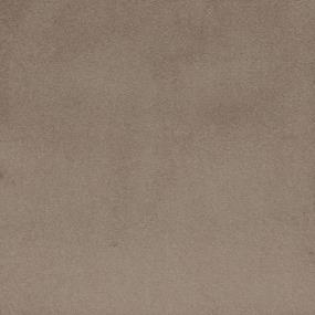 Textured Saxony Trail Blazer Brown Carpet