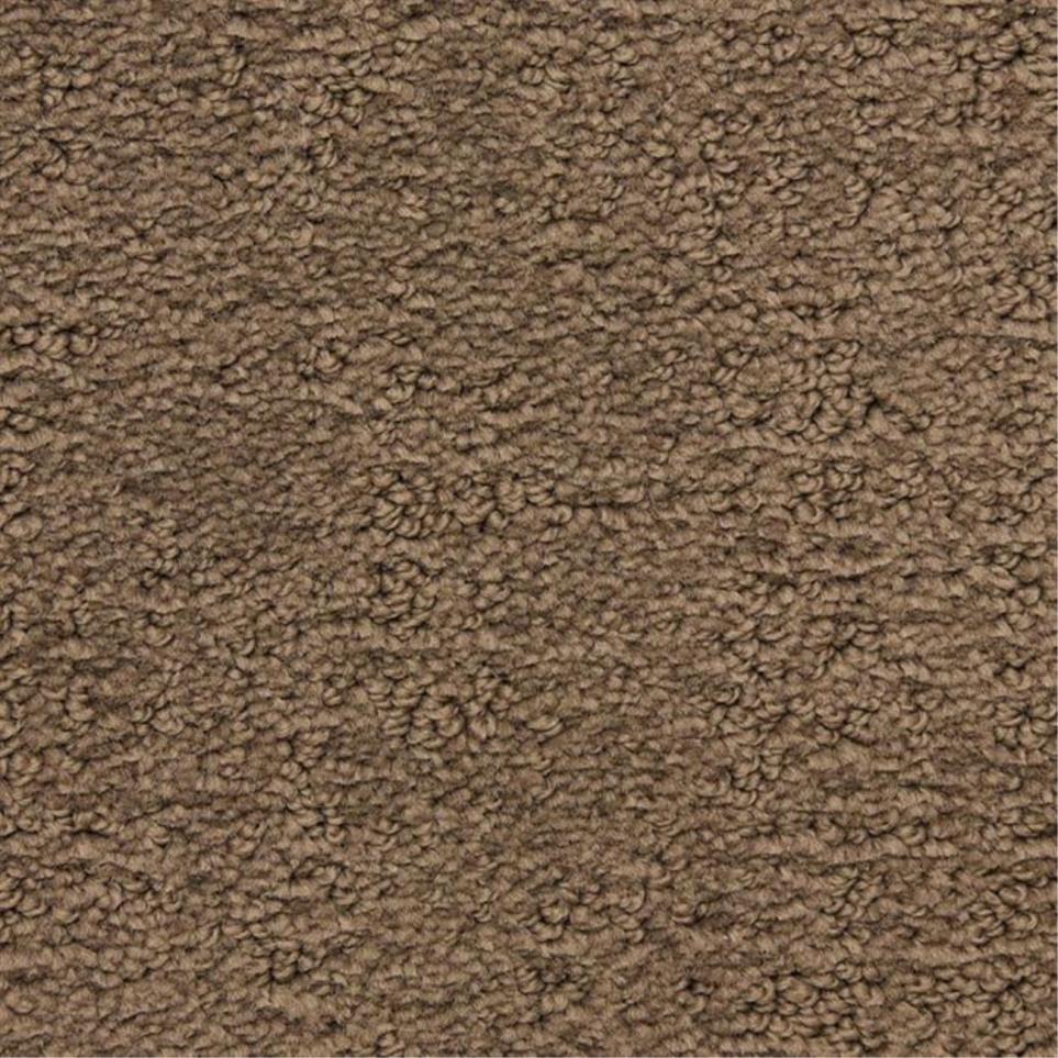 Pattern San Roque Brown Carpet