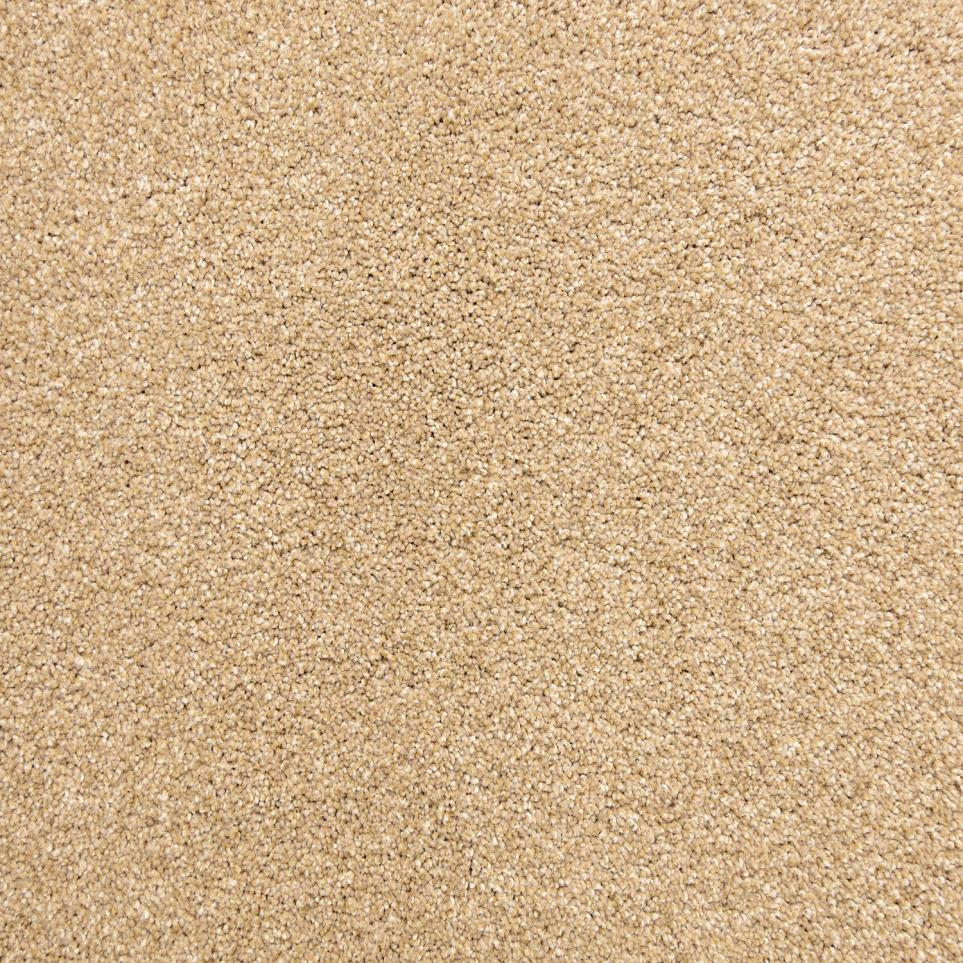 Texture Burlwood Beige/Tan Carpet