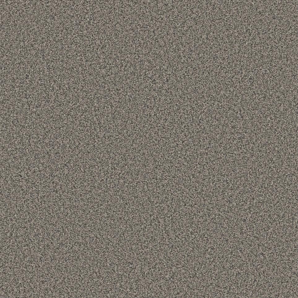 Textured Saxony Briar Patch Beige/Tan Carpet