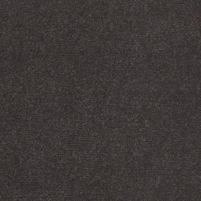 Cut Pile Steel Gray Carpet
