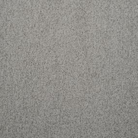 Frieze Tradewind Gray Carpet