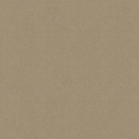 Cut Pile Sahara Beige/Tan Carpet