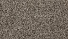 Texture Arrowwood Brown Carpet