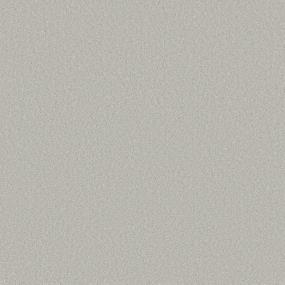 Plush Saxony Dew Drop Gray Carpet
