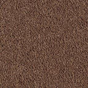 Textured Saxony Tundra Brown Carpet