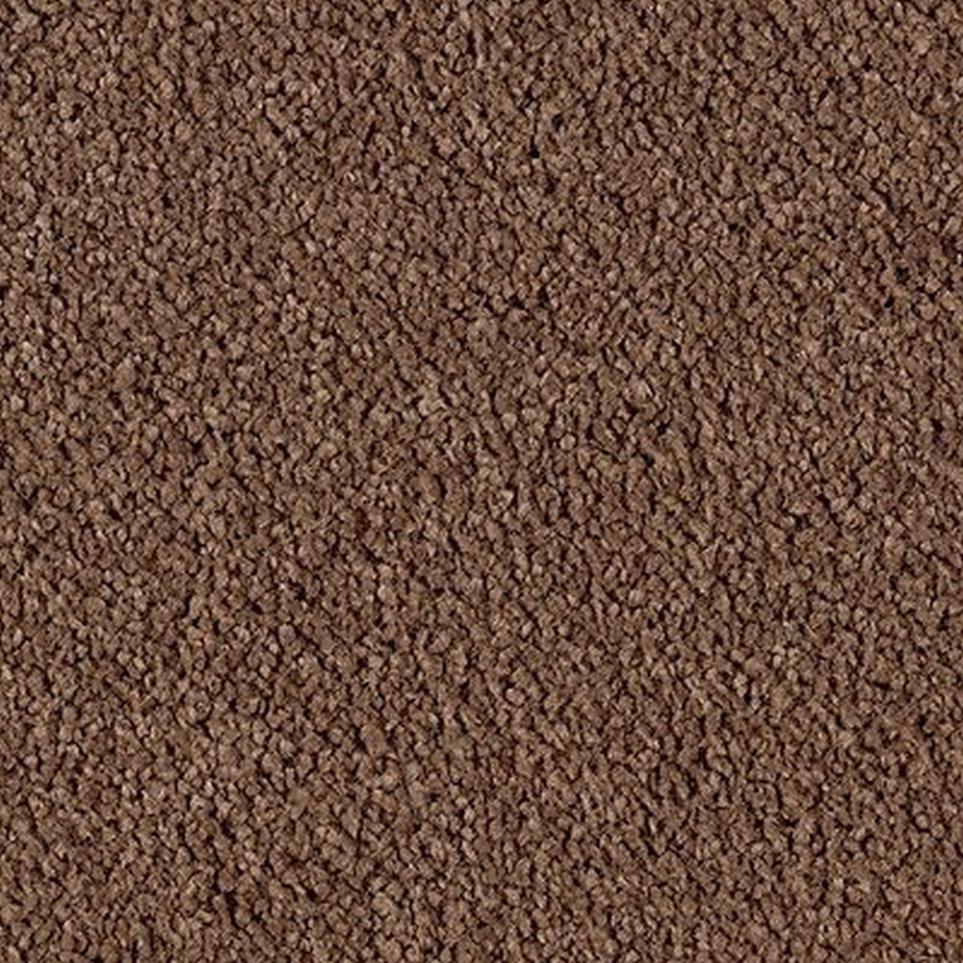 Textured Saxony Tundra Brown Carpet