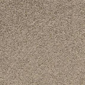 Textured Saxony Pelican Brown Carpet